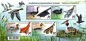 Беларусь, 2023, Водоплавающие Птицы, лист